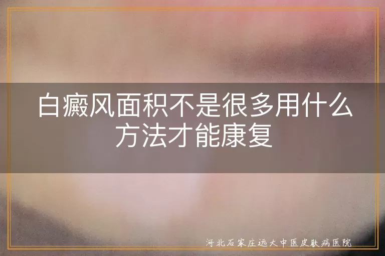 白癜风小面积早期治疗方法,白癜风面积小如何选择康复方案,白斑面积有限时怎样有效康复