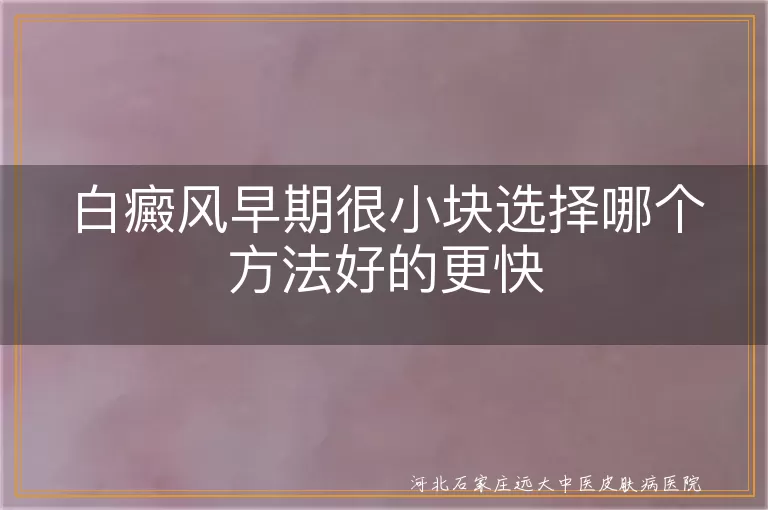 白癜风早期很小块选择哪个方法好的更快