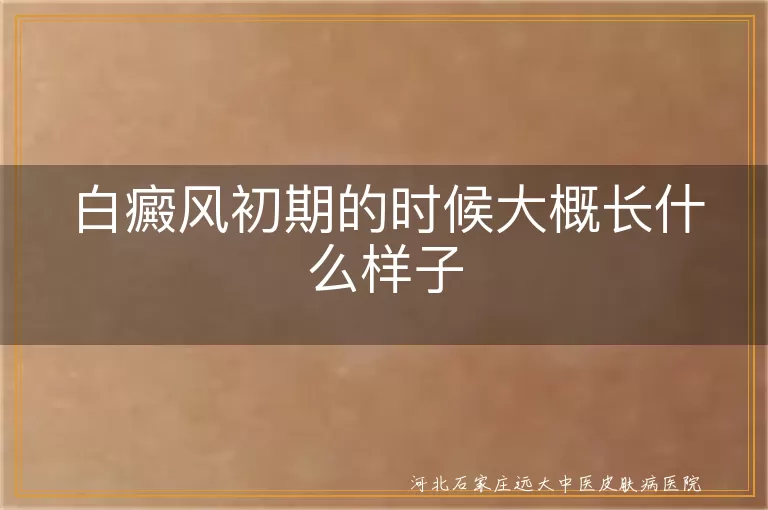白癜风初期的时候大概长什么样子