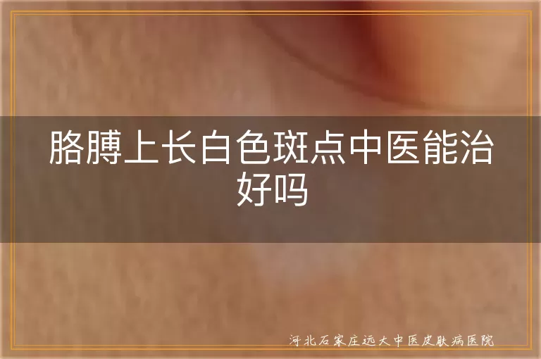 胳膊上长白色斑点中医能治好吗