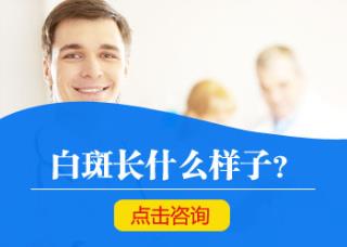 我肚皮上长有白点点